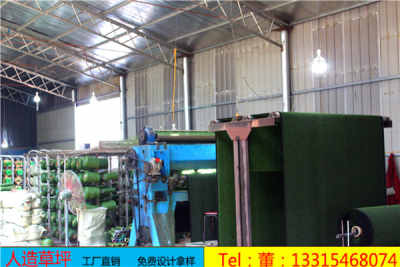 新聞 芙蓉花園草坪 廠家供應